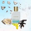CocoysterSalum-5-_5