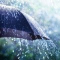 Pluie
