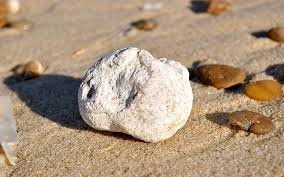 ambre gris