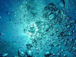 Aquatique