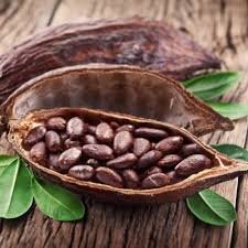Cacao