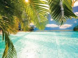 Tropical